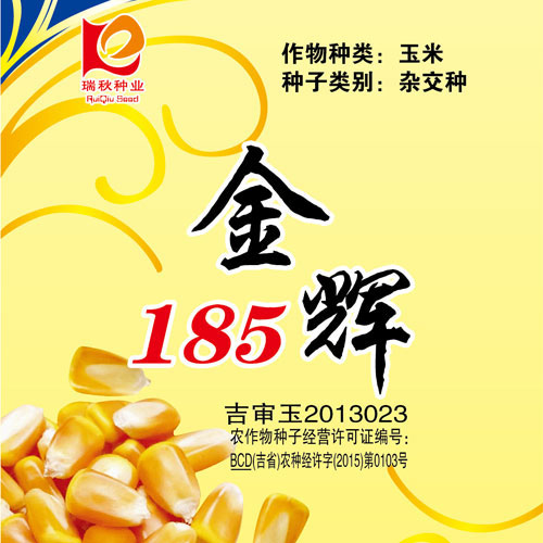 金辉185